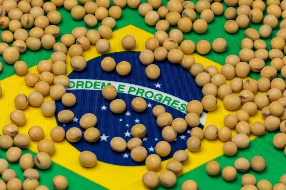 Brazil Soybean Exporters