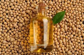 High Oleic Soybeans Exporters