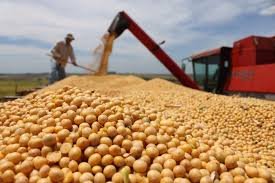 Non-GMO Soybeans Exporters